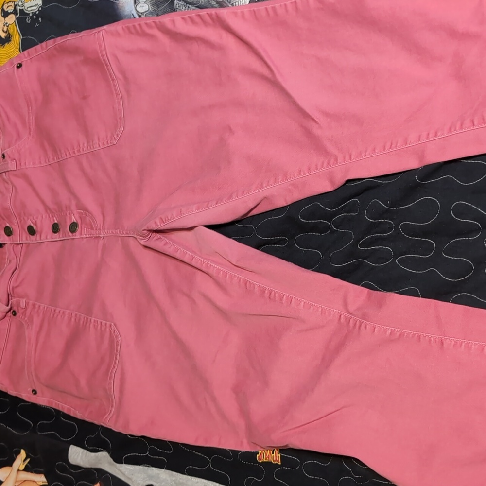 Daily Thread size 20w Pink Jeans